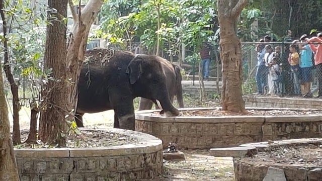 Bannerghatta Biological Park